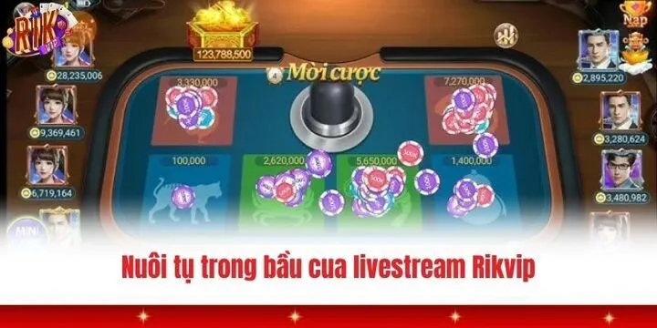 Bầu cua livestream Rikvip - “Đổi đời” tại nhà sau 1 nốt nhạc 4 Hướng dẫn cách chơi bầu cua livestream Rikvip cực chuẩn
